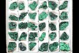 Lot: Gorgeous Fibrous Malachite From Congo - Pieces #77802-2